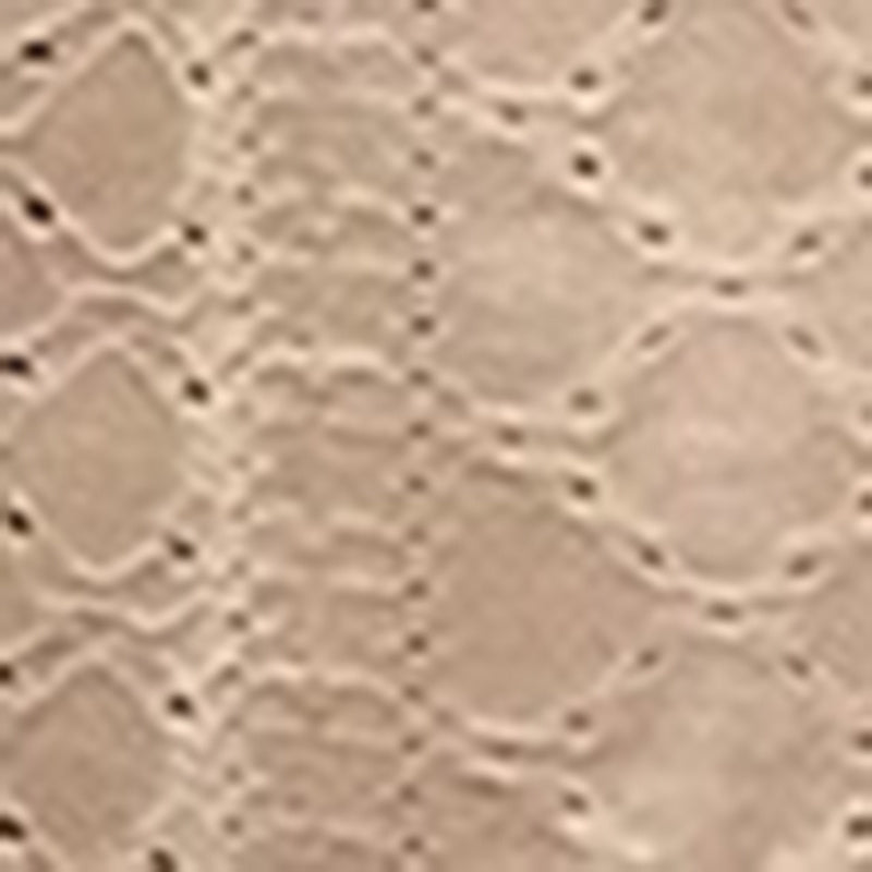 Women's V Neck Lace Mini Dresses